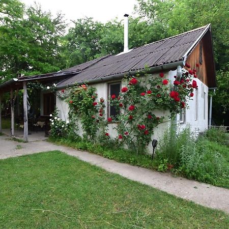 Vila Igricz Farmhaz Pócsmegyer Exteriér fotografie