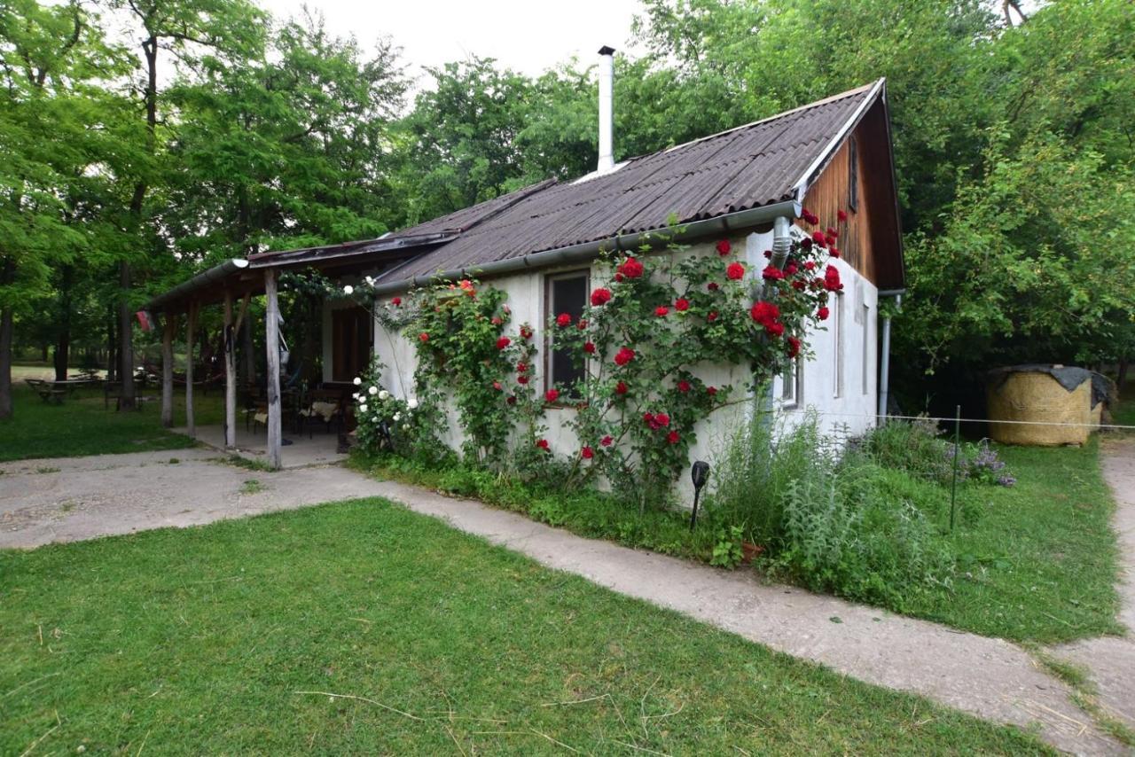 Vila Igricz Farmhaz Pócsmegyer Exteriér fotografie